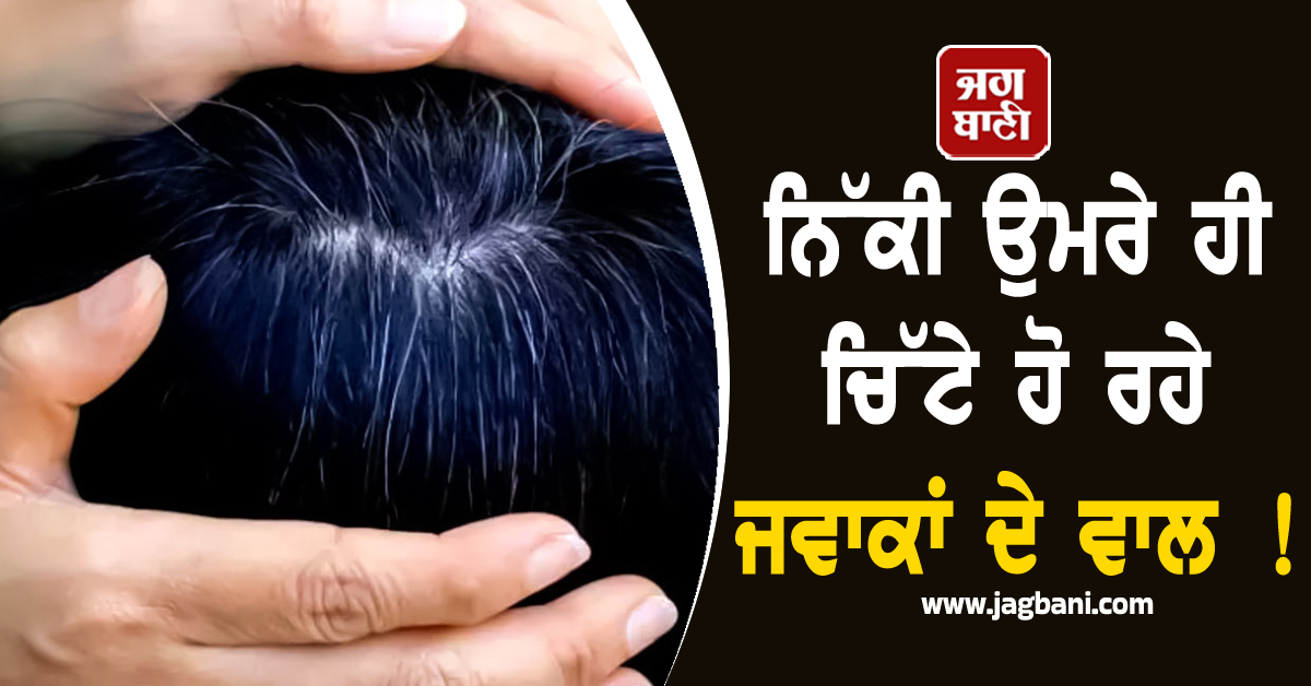 ਨਿੱਕੀ ਉਮਰੇ ਹੀ ਚਿੱਟੇ ਹੋ ਰਹੇ ਜਵਾਕਾਂ ਦੇ ਵਾਲ ! ਜਾਣੋ ਕੀ ਹੈ ਕਾਰਨ ਤੇ ਕਿਵੇਂ ਕਰੀਏ ਬਚਾਅ