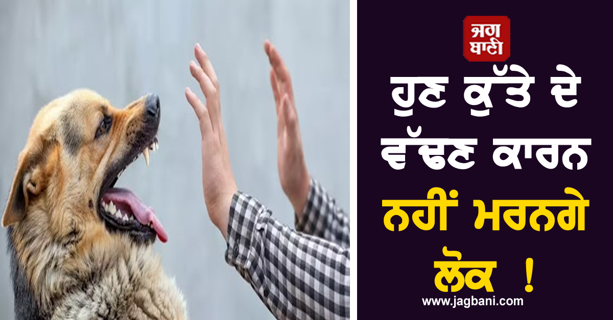 ਹੁਣ ਕੁੱਤੇ ਦੇ ਵੱਢਣ ਕਾਰਨ ਨਹੀਂ ਮਰਨਗੇ ਲੋਕ ! ਭਾਰਤ 'ਚ 75 ਫ਼ੀਸਦੀ ਤੱਕ ਘਟਿਆ Rabies ਨਾਲ ਮੌਤਾਂ ਦਾ ਅੰਕੜਾ