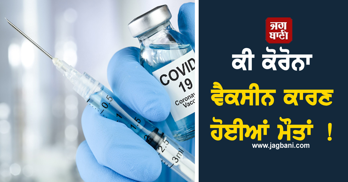 Corona Vaccine: ਕੀ ਕੋਰੋਨਾ ਵੈਕਸੀਨ ਕਾਰਣ ਹੋਈਆਂ ਮੌਤਾਂ ! ICMR-AIIMS ਦੀ ਰਿਪੋਰਟ ’ਚ ਵੱਡਾ ਖ਼ੁਲਾਸਾ