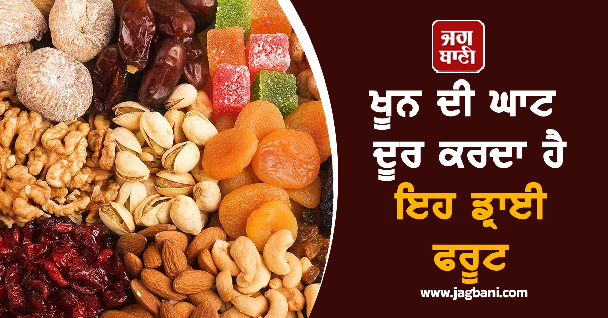 ਖੂਨ ਦੀ ਘਾਟ ਦੂਰ ਕਰਦਾ ਹੈ ਇਹ ਡ੍ਰਾਈ ਫਰੂਟ, ਰੋਜ਼ਾਨਾ ਖਾਣ ਨਾਲ ਮਿਲਦੇ ਨੇ ਗਜ਼ਬ ਦੇ ਫਾਇਦੇ