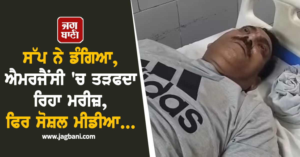 ਸੱਪ ਨੇ ਡੰਗਿਆ, ਐਮਰਜੈਂਸੀ 'ਚ ਤੜਫਦਾ ਰਿਹਾ ਮਰੀਜ਼, ਫਿਰ ਸੋਸ਼ਲ ਮੀਡੀਆ...