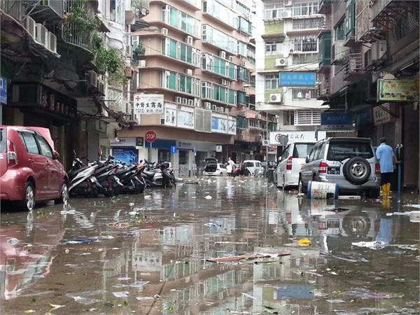 rtyphoon vipha china