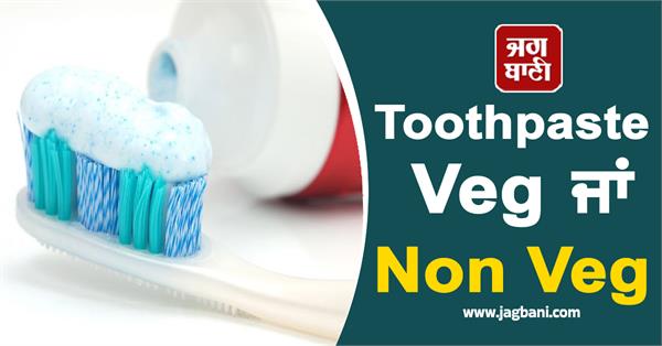 toothpaste vegetarian non vegetarian