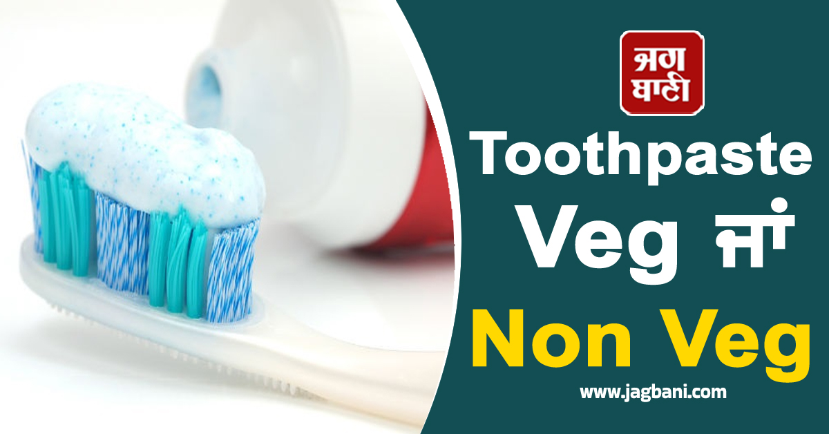 Toothpaste Veg ਜਾਂ Non Veg, ਹੈਰਾਨ ਕਰ ਦੇਵੇਗੀ ਇਹ ਜਾਣਕਾਰੀ