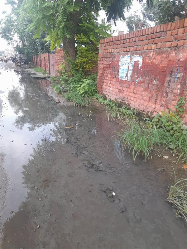 sewerage  in assembly constituencies is in disrepair