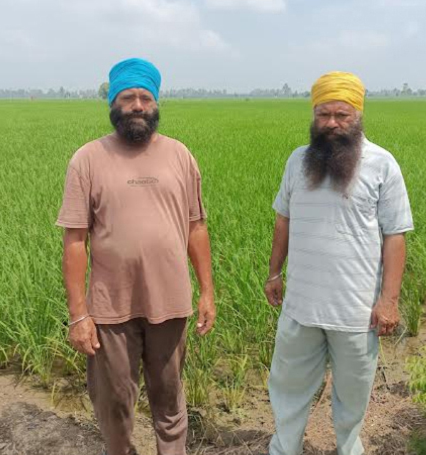 ਗੁਰਦਾਸਪੁਰ ਦੇ 2 ਕਿਸਾਨ ਭਰਾ ਬਣੇ ਮਿਸਾਲ, 12 ਸਾਲਾਂ ਤੋਂ ਪਰਾਲੀ ਨੂੰ ਅੱਗ ਲਾਏ ਬਿਨਾਂ ਕਰ ਰਹੇ ਖੇਤੀ