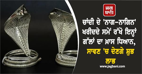 sawan chandi ke nag nagin