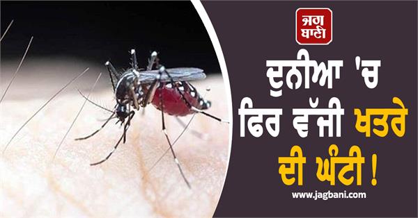 mosquito borne chikv virus terror in china thousands infected