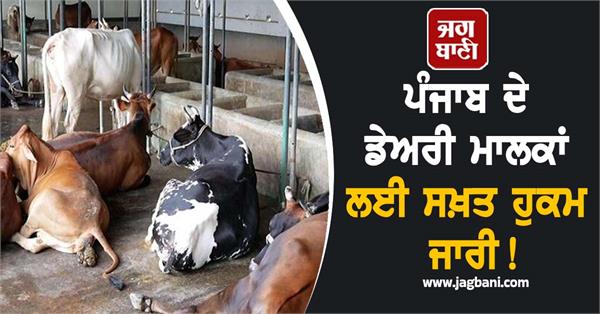 strict orders issued for dairy owners of punjab 