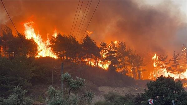forest fire in turkey