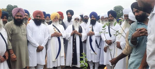 jungle baba ghala singh