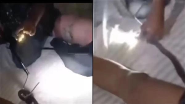 snake entered the in the pants of a sleeping boy