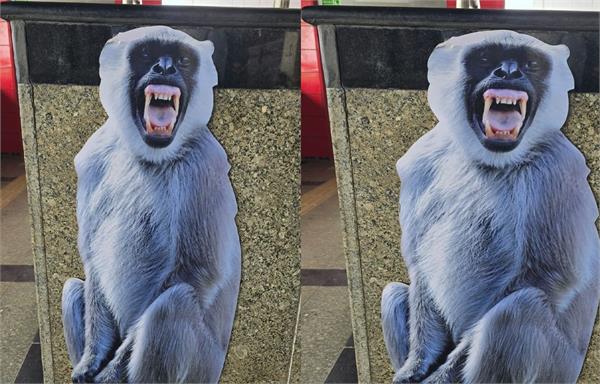 langurs cutouts metro stations in bahadurgarh