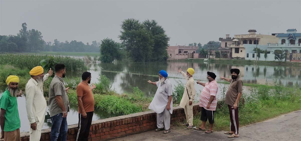 ਵੱਡੀ ਪਰੇਸ਼ਾਨੀ ''ਚ ਘਿਰੇ ਪੰਜਾਬ ਦੇ ਕਿਸਾਨ! ਅਚਾਨਕ ਆ ਖੜ੍ਹੀ ਹੋਈ ਨਵੀਂ ਮੁਸੀਬਤ