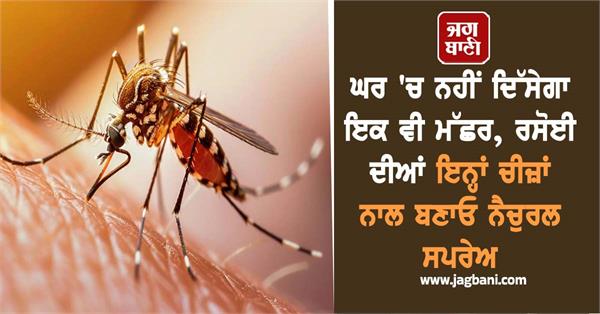 rain mosquito natural spray