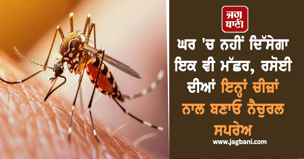 ਘਰ ''ਚ ਨਹੀਂ ਦਿੱਸੇਗਾ ਇਕ ਵੀ ਮੱਛਰ, ਰਸੋਈ ਦੀਆਂ ਇਨ੍ਹਾਂ ਚੀਜ਼ਾਂ ਨਾਲ ਬਣਾਓ ਨੈਚੁਰਲ ਸਪਰੇਅ