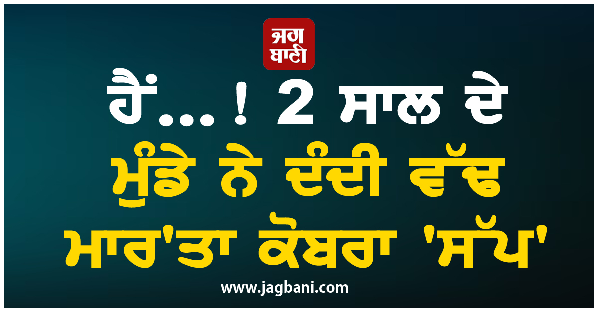 ਹੈਂ...! 2 ਸਾਲ ਦੇ ਮੁੰਡੇ ਨੇ ਦੰਦੀ ਵੱਢ ਮਾਰ'ਤਾ ਕੋਬਰਾ 'ਸੱਪ'