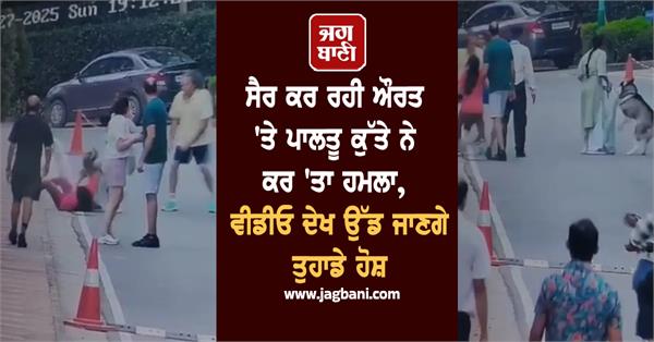 pet dog attack woman walking