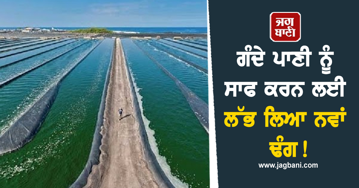 ਗੰਦੇ ਪਾਣੀ ਨੂੰ ਸਾਫ ਕਰਨ ਲਈ ਲੱਭ ਲਿਆ ਨਵਾਂ ਢੰਗ!