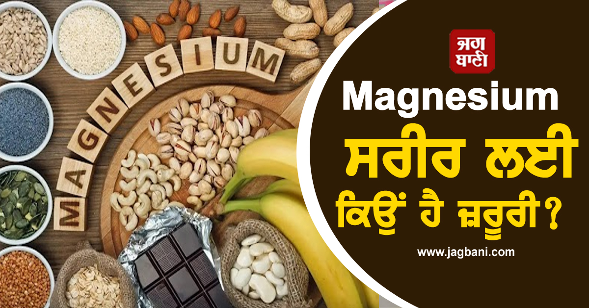Magnesium ਸਰੀਰ ਲਈ ਕਿਉਂ ਹੈ ਜ਼ਰੂਰੀ? ਜਾਣੋ ਕਾਰਨ