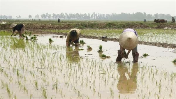 farmers threaten collective action in south korea