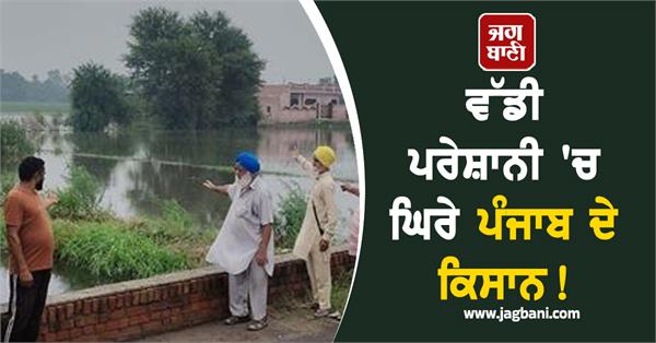 farmers of punjab in big trouble due