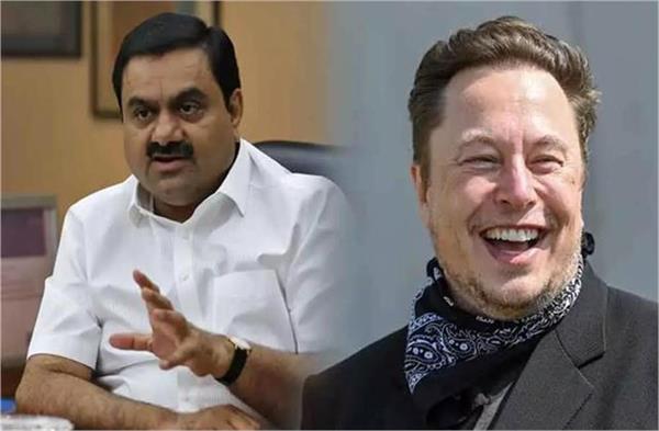 elon musk larry ellison close to 300 billion dollar club adani out of top 20