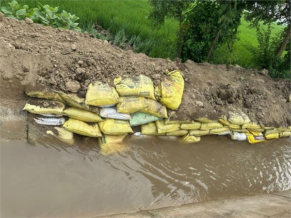 the dam broke due to overflow near jhaneri farmers paddy 