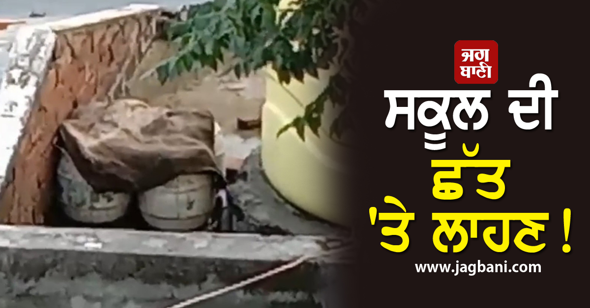 ਸਰਕਾਰੀ ਪ੍ਰਾਈਮਰੀ ਸਕੂਲ ਦੀ ਛੱਤ 'ਤੇ ਲਾਹਣ! ਮੌਕਾ ਦੇਖ ਪੁਲਸ ਵੀ ਰਹਿ ਗਈ ਹੈਰਾਨ