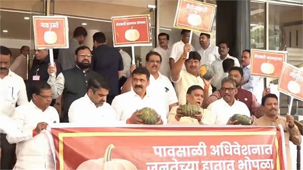 opposition members reached the vidhan sabha carrying pumpkins