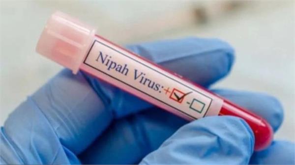 nipah virus  patients  675 infected cases 