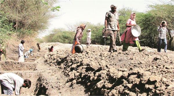 haryana records rapid increase in mgnrega jobs