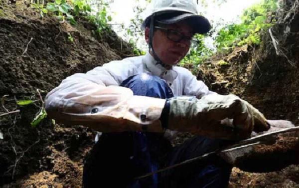 search for victims continues 80 years after atomic attack on hiroshima