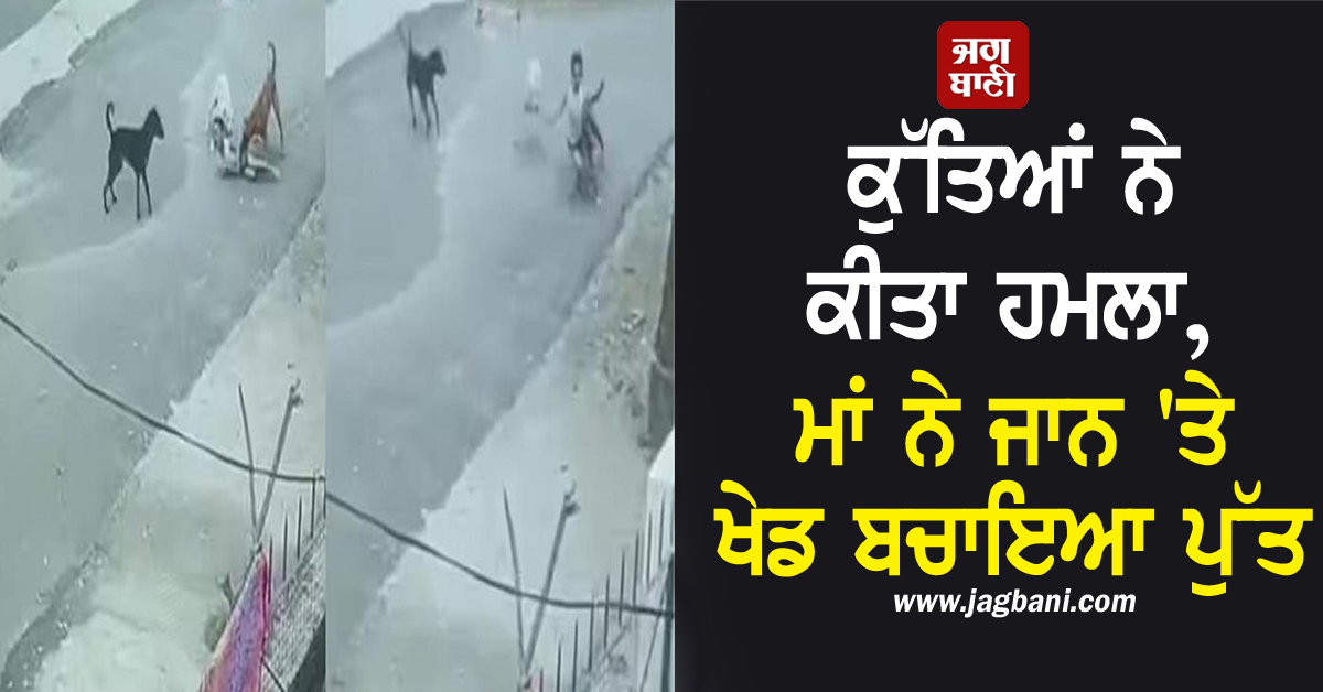 ਕੁੱਤਿਆਂ ਨੇ ਕੀਤਾ ਹਮਲਾ, ਮਾਂ ਨੇ ਜਾਨ 'ਤੇ ਖੇਡ ਬਚਾਇਆ ਪੁੱਤ