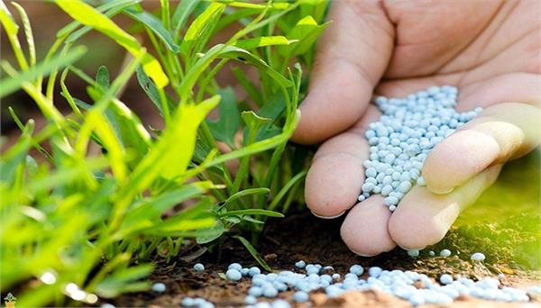 neem coated urea was being used in the factory