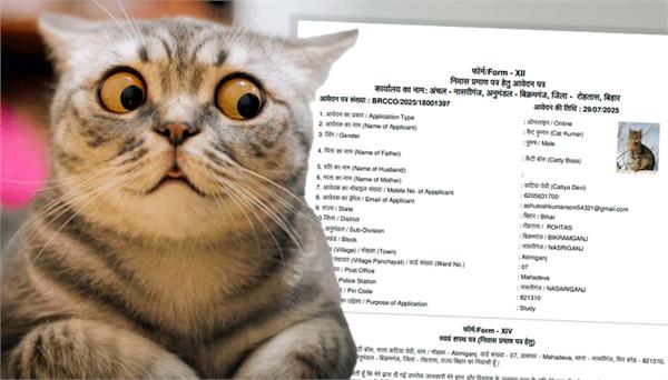 now cat applied for residence certificate in bihar