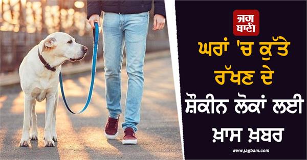 people pet dogs guidelines