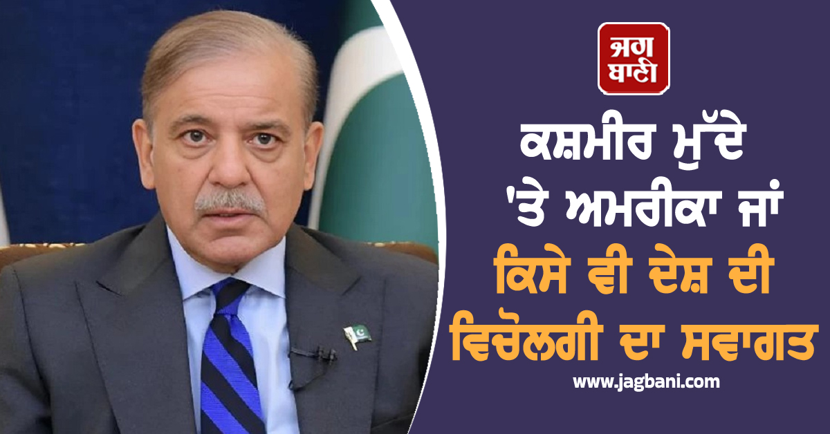 ਕਸ਼ਮੀਰ ਮੁੱਦੇ 'ਤੇ ਅਮਰੀਕਾ ਜਾਂ ਕਿਸੇ ਵੀ ਦੇਸ਼ ਦੀ ਵਿਚੋਲਗੀ ਦਾ ਸਵਾਗਤ, ਪਾਕਿਸਤਾਨ ਦਾ ਵੱਡਾ ਬਿਆਨ