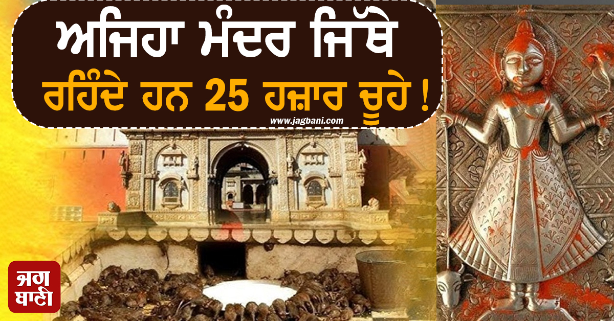 ਅਜਿਹਾ ਮੰਦਰ ਜਿੱਥੇ ਰਹਿੰਦੇ ਹਨ 25 ਹਜ਼ਾਰ ਚੂਹੇ! ਪੂਜਾ ਨਾਲ ਹੁੰਦੀ ਹੈ ਹਰ ਮਨੋਕਾਮਨਾ ਪੂਰੀ