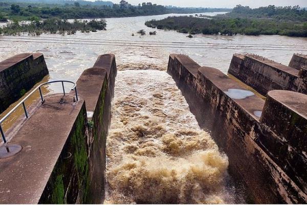 punjab pong dam