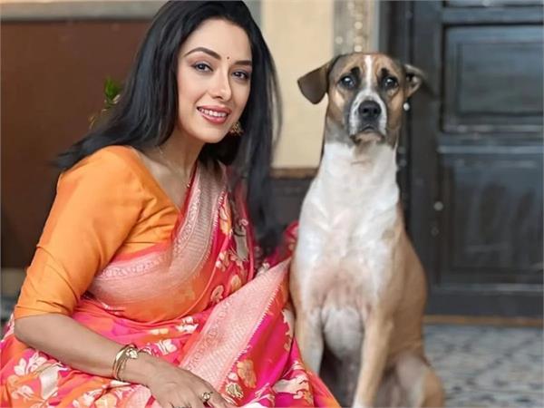 everyone  s favorite   anupama   accused of eating beef