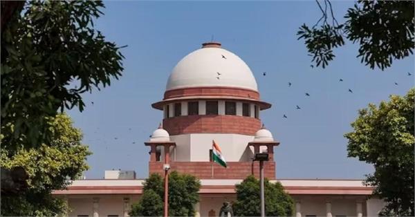 new bench of supreme court to hear stray dog case today