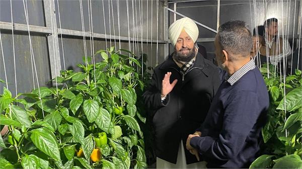 bajwa farmer statement