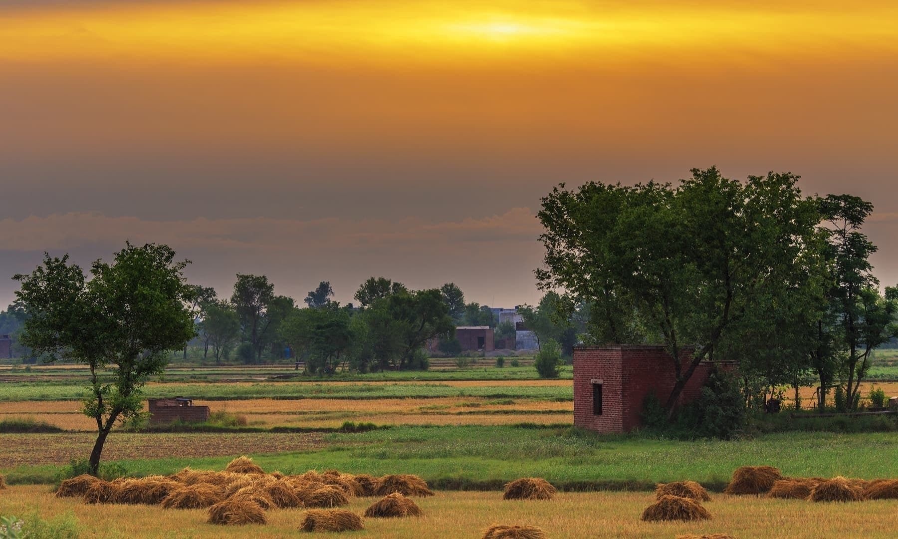 ਪੰਜਾਬ ਦੇ ਪਿੰਡਾਂ ਬਾਰੇ ਸਰਕਾਰ ਦਾ ਨਵਾਂ ਫ਼ੈਸਲਾ! 9 ਜ਼ਿਲ੍ਹਿਆਂ ਤੋਂ ਹੋਵੇਗੀ ਸ਼ੁਰੂਆਤ