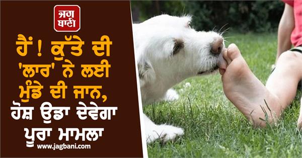 dog saliva child rabies death