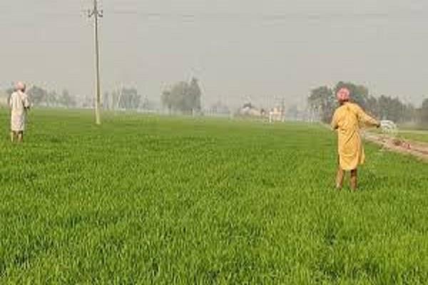 good news for the farmers of punjab
