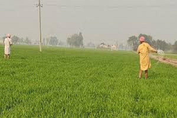 ਪੰਜਾਬ ਦੇ ਕਿਸਾਨਾਂ ਲਈ ਚੰਗੀ ਖ਼ਬਰ, ਇਸ ਸਕੀਮ ਦੀ ਕਿਸ਼ਤ ਕੀਤੀ ਜਾਰੀ