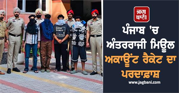 inter state mule account racket busted in punjab