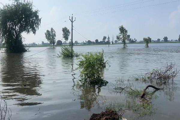 water crisis in punjab districts 