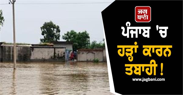 devastation due to flood in punjab strict orders issued to deputy commissioners